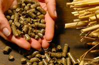 free Quoys Of Catfirth biomass boiler quotes